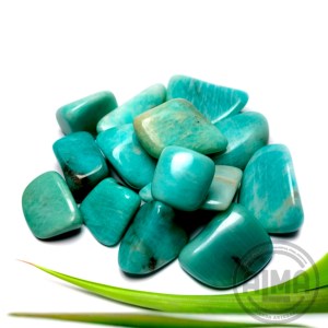 Amazonitas en grupo con logo